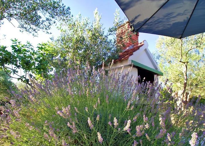 House Silvana فيلة