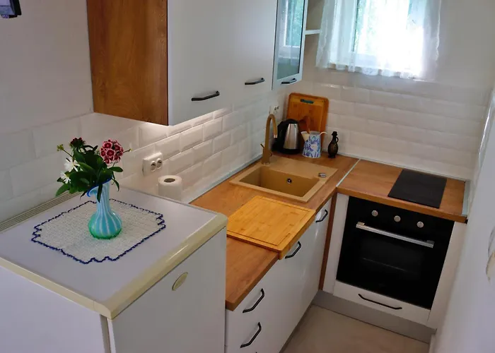 فيلة House Silvana Ždrelac