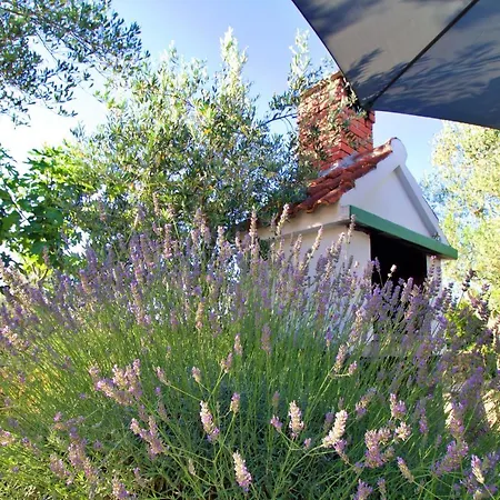 House Silvana Villa