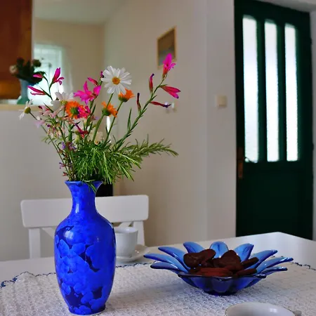 House Silvana * Ždrelac